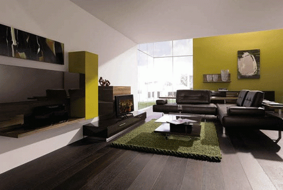 natural-wood-floor-living-room-design