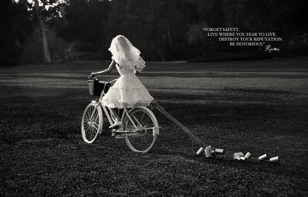 Солнечный летний Lookbook женской одежды Wildfox 2014