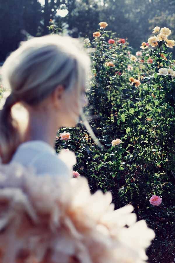 Солнечный летний Lookbook женской одежды Wildfox 2014