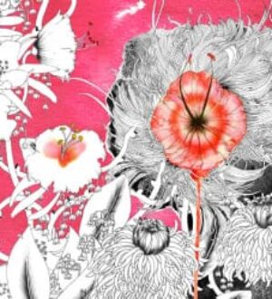 Иллюстратор Noumeda Carbone