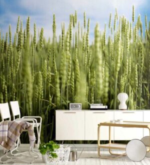 ФОТООБОИ В ИНТЕРЬЕРЕ