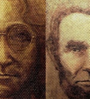 Необычные картины от David Palmer