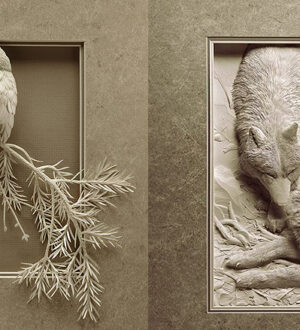 Объемные картины из бумаги от Calvin Nicholls