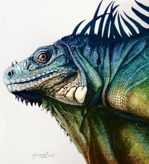 Иллюстратор RLoN Wang