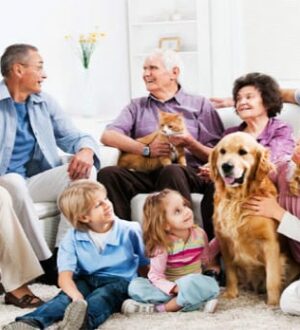 Как избежать ссор в семье