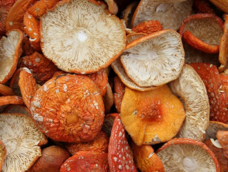 Производство и продажа сушеных мухоморов