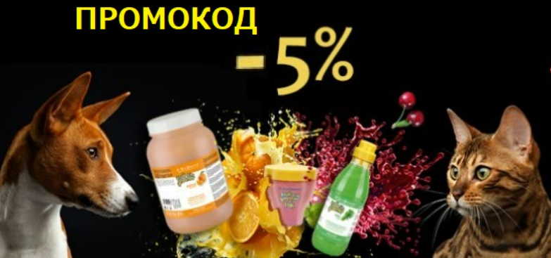 Что такое промокоды, где их искать и их виды