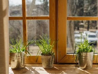 Как выбрать окна? Установка и организация