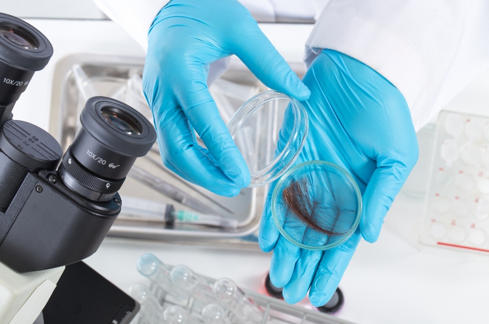 Что такое спектральный анализ волос на микроэлементы?