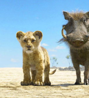 Учимся, вдохновляемся и развлекаемся: преимущества просмотра фильмов про животных