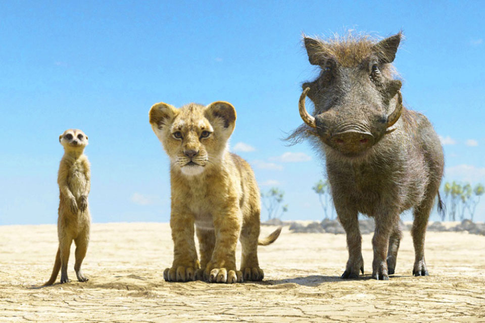 Учимся, вдохновляемся и развлекаемся: преимущества просмотра фильмов про животных