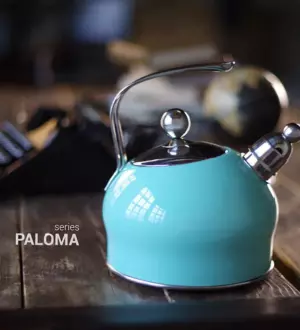 Как выбрать чайник