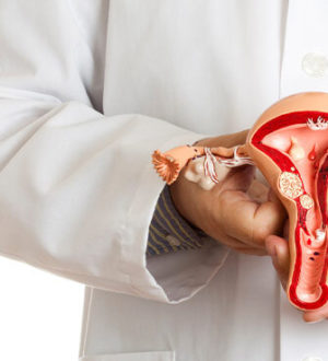 Какие заболевания лечит гинеколог: список распространенных проблем