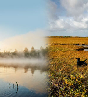 Рыбалка vs охота: какой вид активности выбрать?