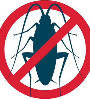 Как избавиться от тараканов в доме