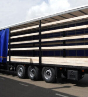 Доставка грузов с надежными транспортными компаниями в Туймазах