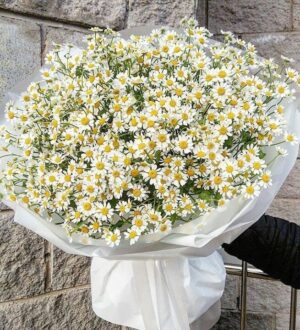 Где купить букет из ромашек с доставкой в Санкт-Петербурге
