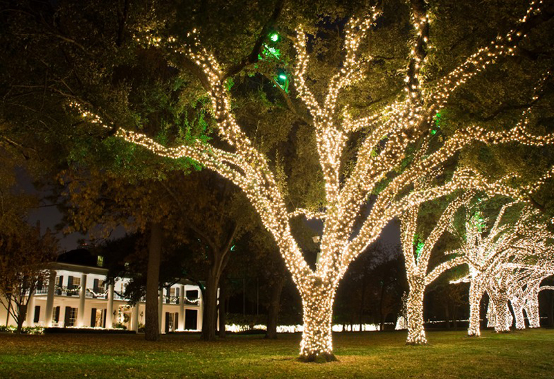 Гирлянды для деревьев — подсветка на деревья | монтаж от Светлен г.Москва
