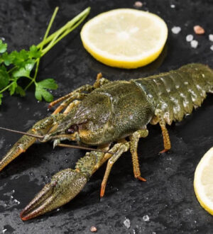 Виды живых раков