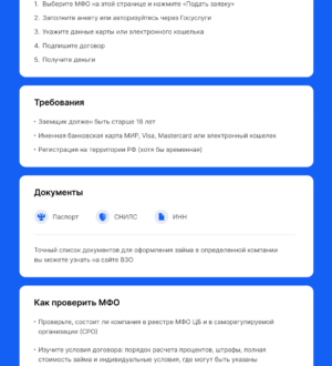 Что такое займ на карту госуслуги?