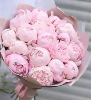 Купить пионы в Дубае