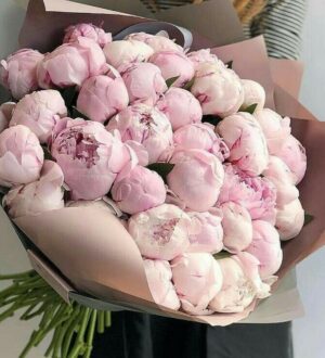 Купать пионы в Дубае