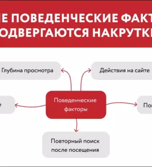 Основные принципы продвижения в топ